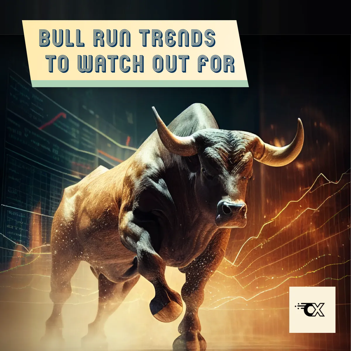 Bull Run Trends to Look Out For – Learn Crypto With CX